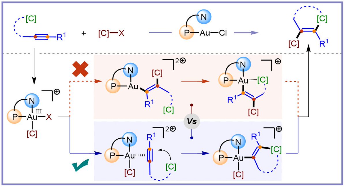 Excited to share that our work on the development of the first gold-catalyzed 1,2-dicarbofunctionalization of alkynes using organohalides is now available on <a href="/ChemRxiv/">ChemRxiv</a>!
chemrxiv.org/engage/chemrxi…