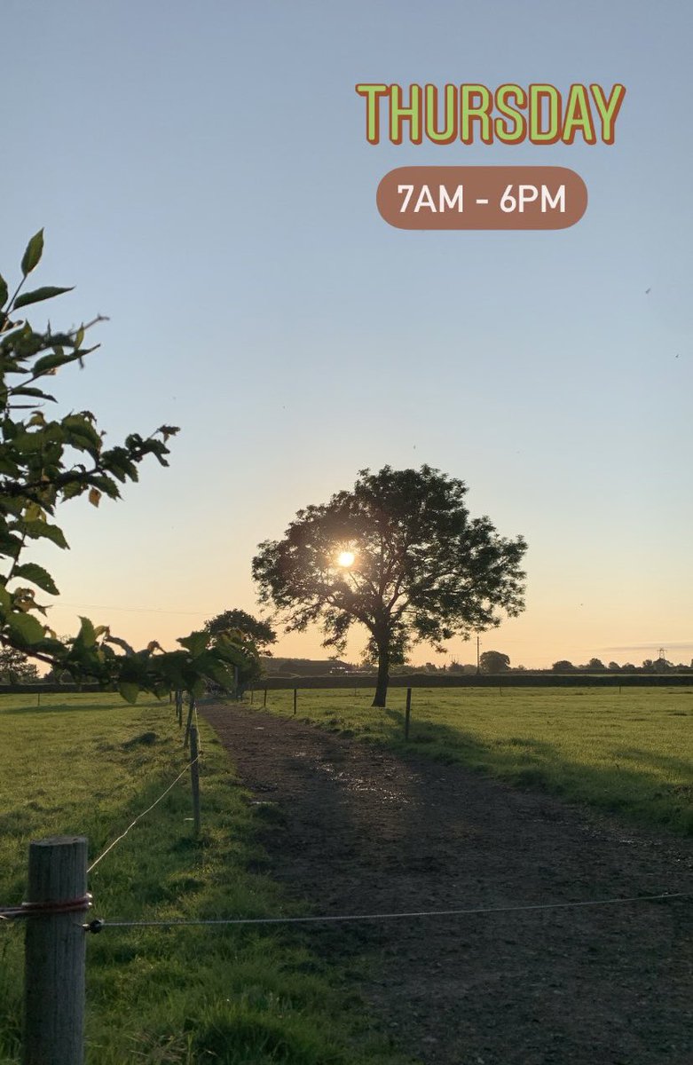 MooCowFreshMilk's tweet photo. Fresh Local Milk in Co. Laois 

8 — Milkshake Flavours to choose from ⬇️ 
Strawberry 🍓 
Chocolate 🍫 
Vanilla 🍦
White Chocolate 🥛
Crème Egg 🥚 
Caramel 🍮
Candy Floss 🍭
Hazelnut 🌰 https://t.co/vreLQvY0w3