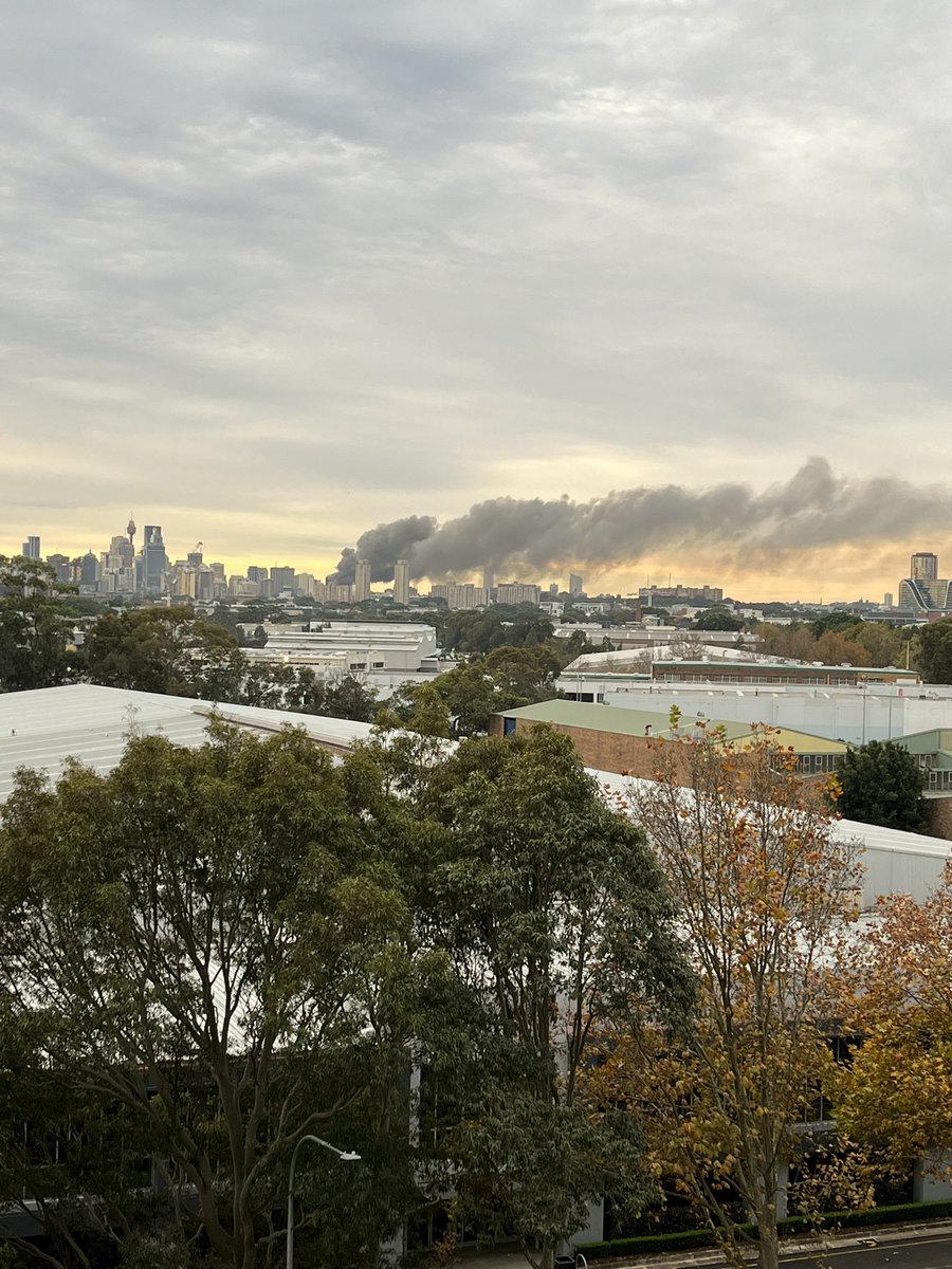 HenryPGraham's tweet photo. @whatjanesays Mascot https://t.co/w1i59NE7O6