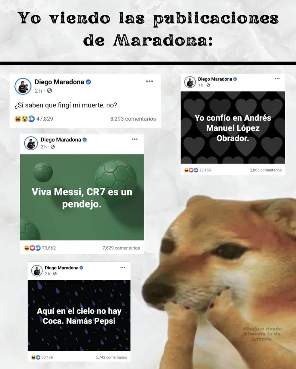 tranqui mayo