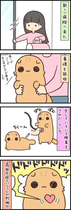 猫の闘病と寄り添って生きていくということ【連載】もふもふスコたん#278|ねこのきもちWEB MAGAZINE 