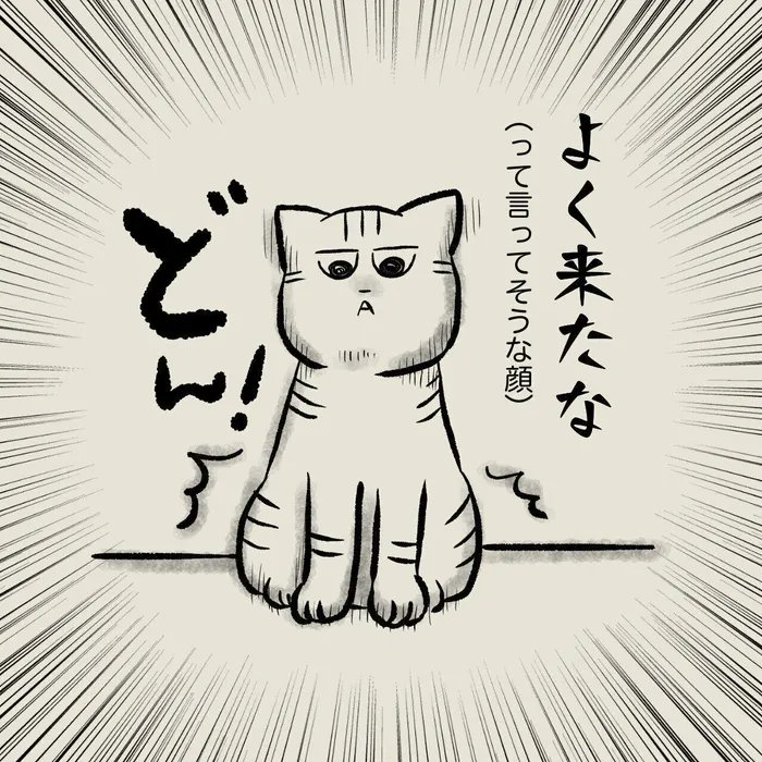 怖がって姿をくらましていた猫が、堂々と仁王立ちで待ち受ける猫に。きっかけは人間側のマナー?【連載】交通事故にあった猫を拾いました#114|ねこのきもちWEB MAGAZINE