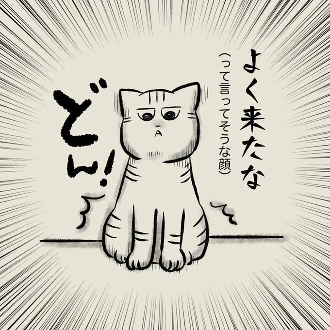 怖がって姿をくらましていた猫が、堂々と仁王立ちで待ち受ける猫に。きっかけは人間側のマナー?【連載】交通事故にあった猫を拾いました#114|ねこのきもちWEB MAGAZINE 