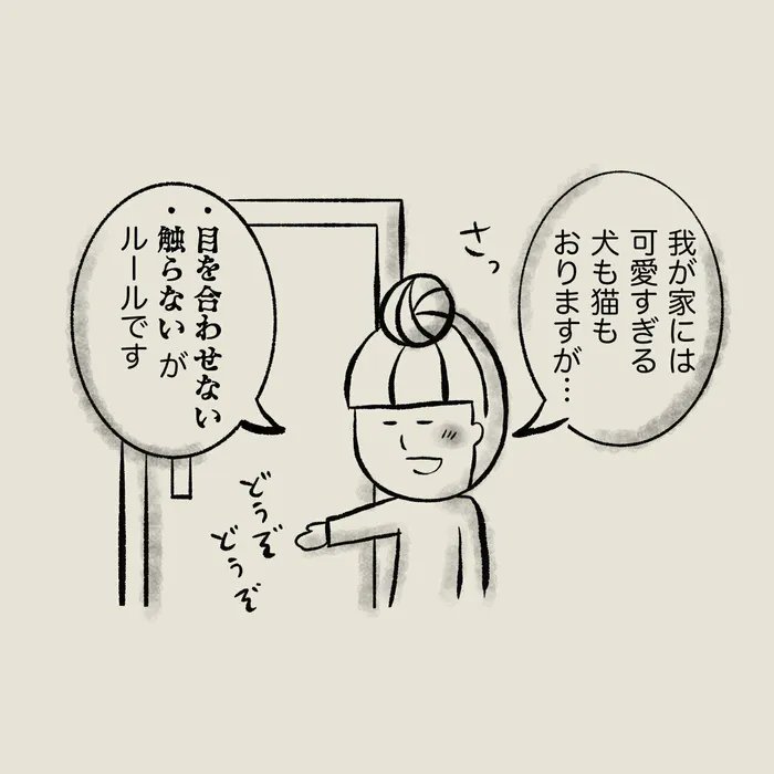 怖がって姿をくらましていた猫が、堂々と仁王立ちで待ち受ける猫に。きっかけは人間側のマナー?【連載】交通事故にあった猫を拾いました#114|ねこのきもちWEB MAGAZINE