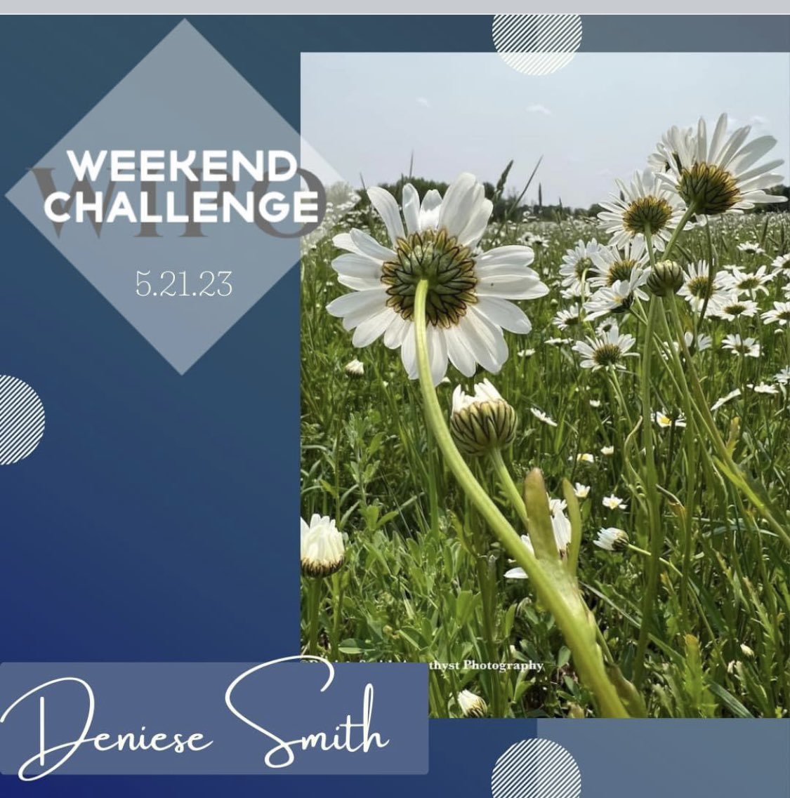 Honored to have been chosen as a weekend photographer-photo favorite!! #photographer #photo #fortheloveofphotography ♥️