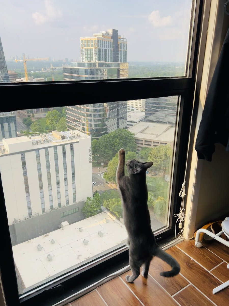 Sup_its_Hiri's tweet photo. Biiiiiiig stretch!
#Cosmo https://t.co/gtfamehSgr