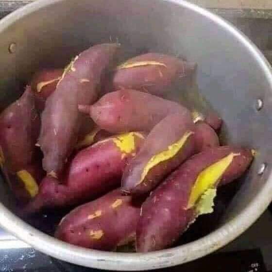 DHOLUO DICTIONARY , PhD tweet media