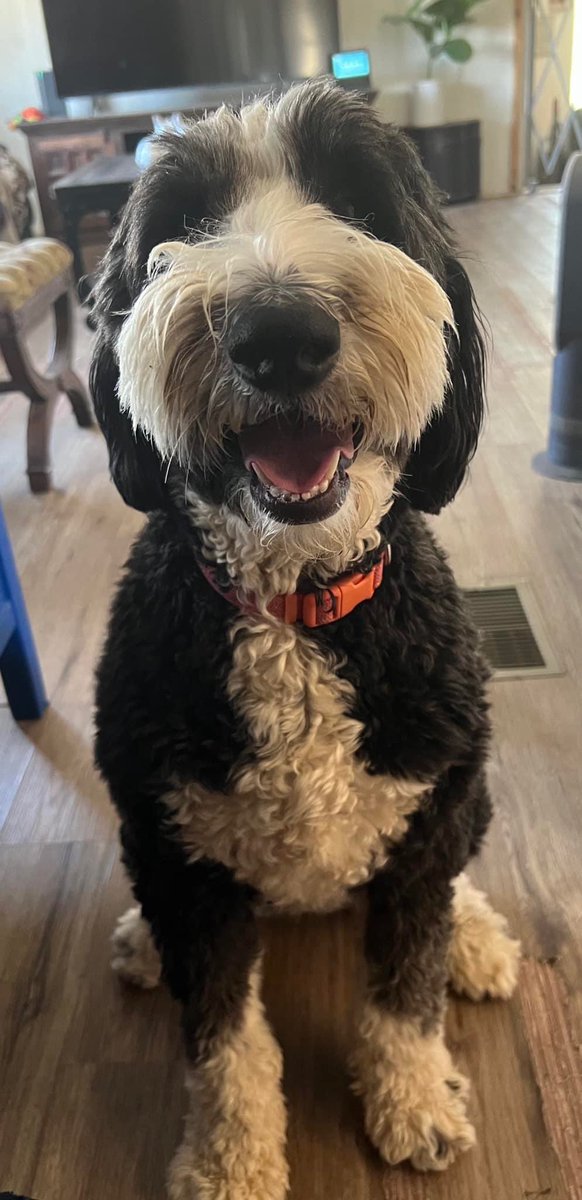 Celebrated my big day one day early, and that made it a joint bday with our pal Zoey who turns 2 today. 🐾 (And so do I.) May this year be the best year! 🥳