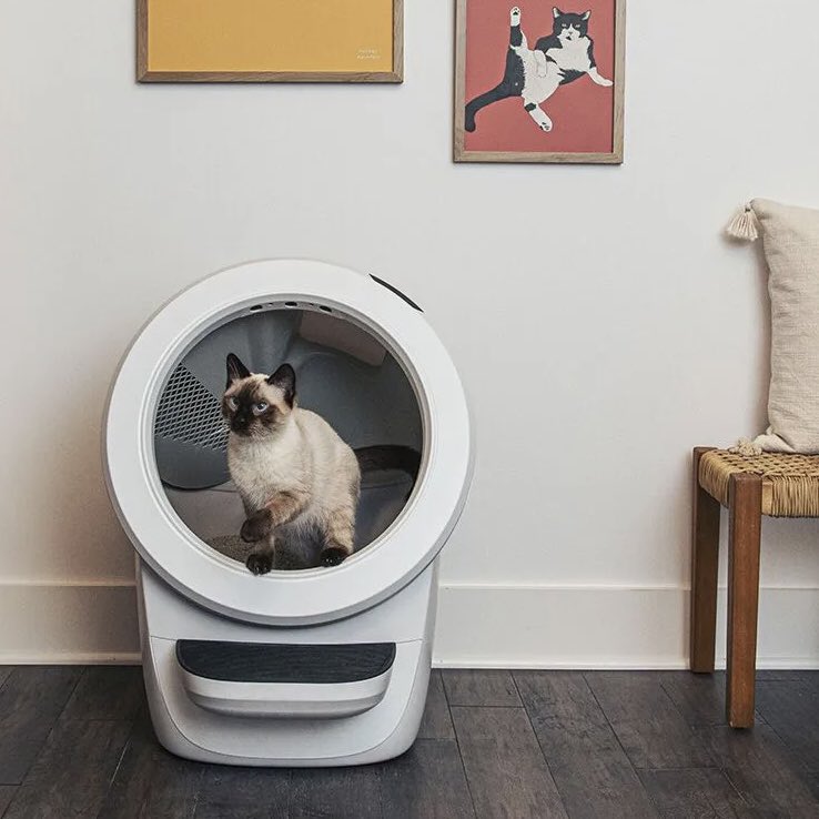 Bridget O’Neill tweet media