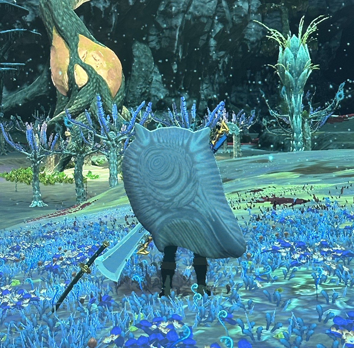 Nes 🎨 tweet media