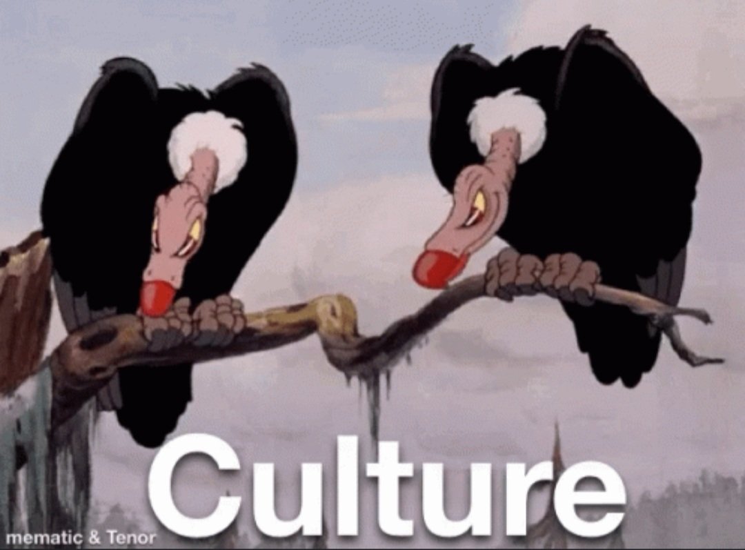 #CultureVultures