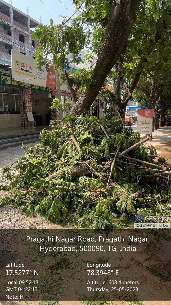 SrinivasBellam's tweet image. A fully grown tree has been chopped off at ideal Kitchen, Prgathi Nagar 🥺 @MC_Nizampet @HarithaHaram #SaveFullyGrownTrees