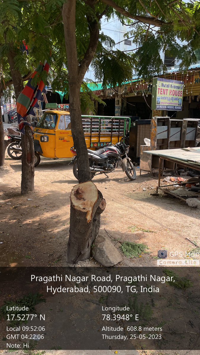 SrinivasBellam's tweet image. A fully grown tree has been chopped off at ideal Kitchen, Prgathi Nagar 🥺 @MC_Nizampet @HarithaHaram #SaveFullyGrownTrees