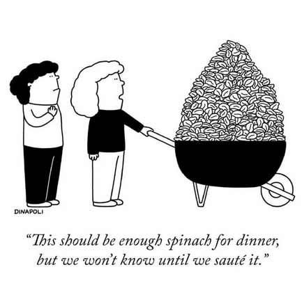 Organic Live Food (@organiclivefood) on Twitter photo 