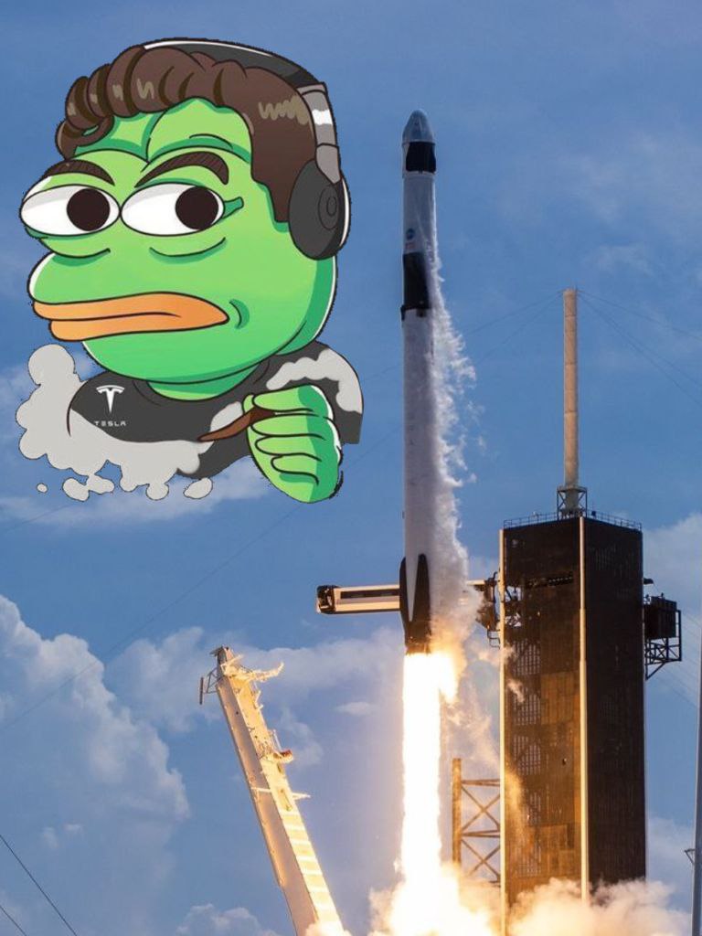 PepeMusk tweet media