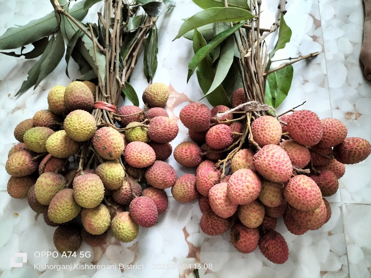 দেশের ফলফলাদি খাওয়ার মজাই অন্যরকম