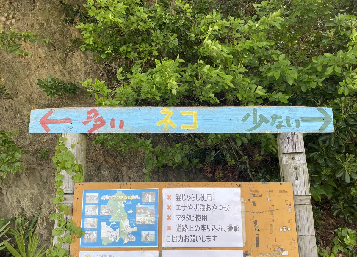 猫島（田代島）での案内板に、猫好きの心は千々に乱れまくり！さあみんな猫まみれになるがいい！！