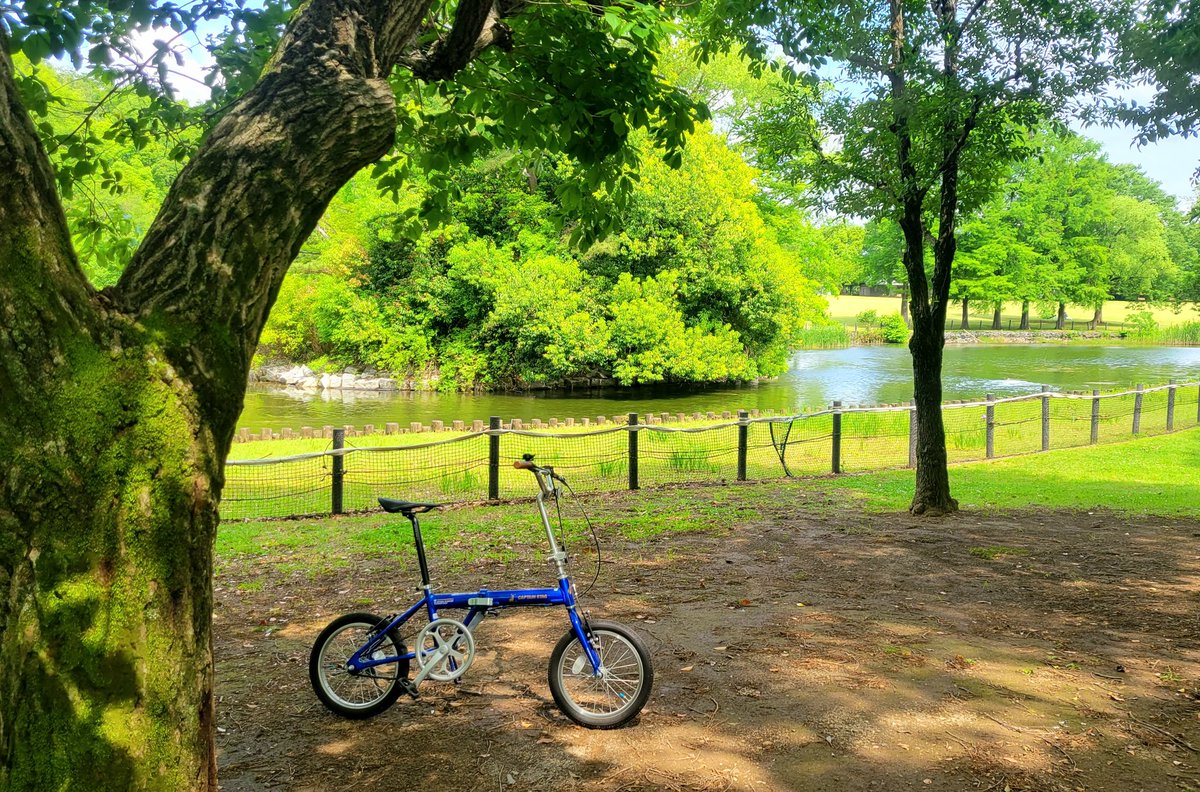 jollyboytwitte's tweet photo. ランチタイムライド、続き。
草加公園まで来ました。
新緑のまぶしい季節です。
#ランチタイムライド 
#ミニベロ 
#Lunchtimeride 
#minivelo https://t.co/mrowRXeFkd