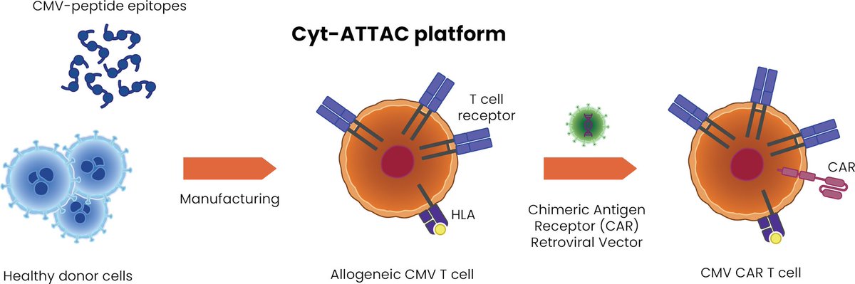 khanna_rajiv's tweet photo. Cyteph secures vital funding for brain cancer immunotherapy clinical trial https://t.co/72JAyMLYfj
More details on technology and platform: https://t.co/skOWyOCBsp
https://t.co/q6slL4Jd4z https://t.co/jRAyHv6kOC