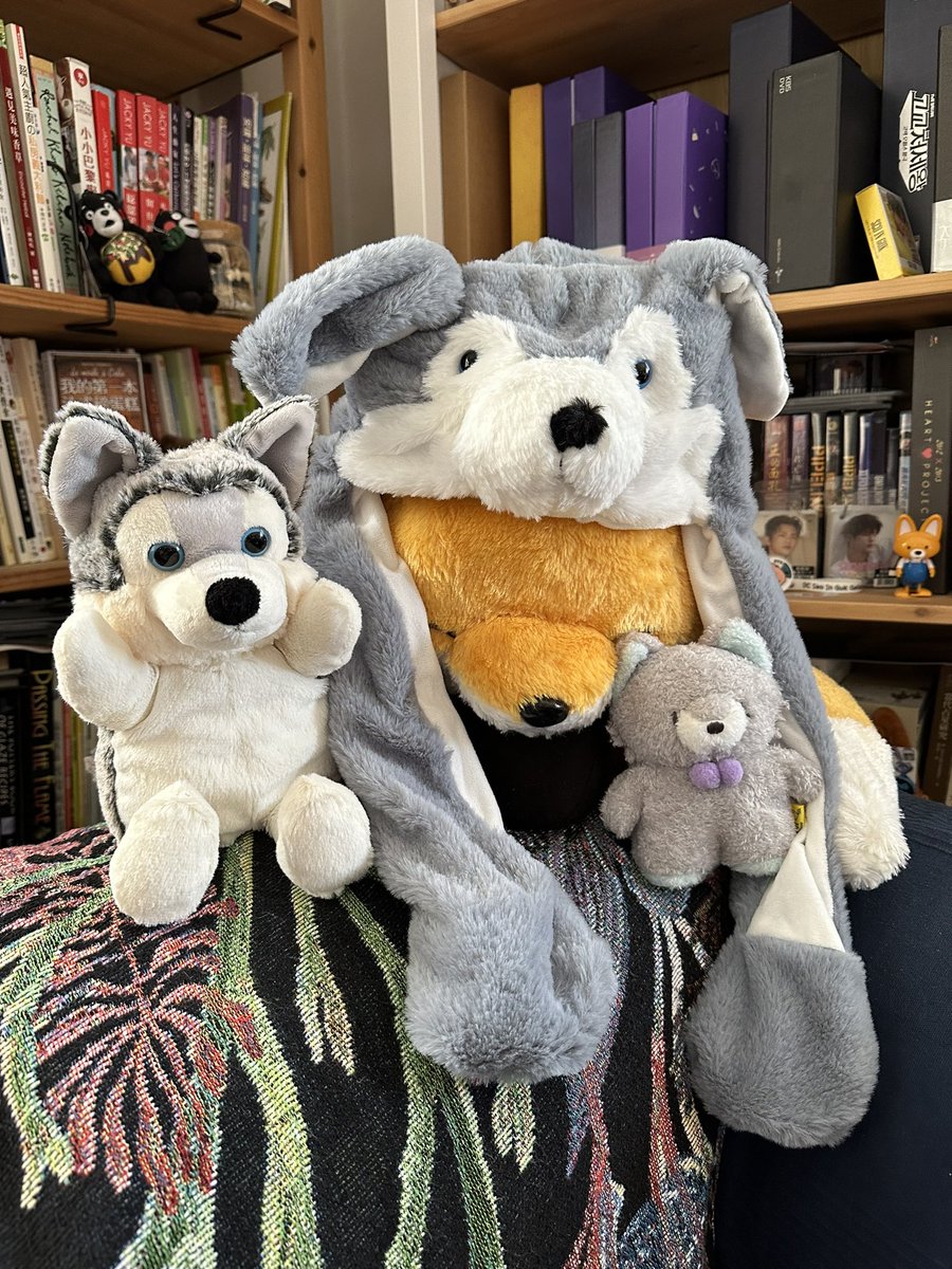 The hand puppet of InGuk Wolf 🐺 arrived together with the Wolf hat I bought in Seoul and the little gift Wolf, a reunion of InGuk Wolf family 🐺🐺🐺

🦊
@seo_cccc #SeolnGuk #SeoInGoogy #서인국 #서잉구기 #ソイングク #徐仁國 
@aermusic_official #AERMUSIC
@ruff.d.crew @ruff.d.dive