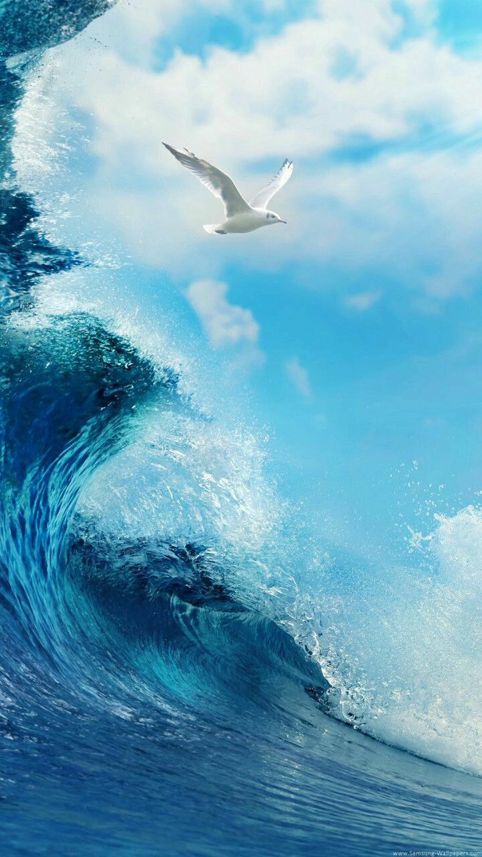 “Ogni onda del mare 
ha una luce differente, 
proprio come la bellezza 
di chi amiamo.”

Virginia Woolf

#PortamiAlMare
#SalaLettura

🌊Buongiorno