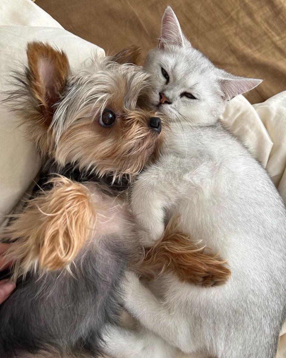 Jane Rosette (@janerosette1) on Twitter photo 