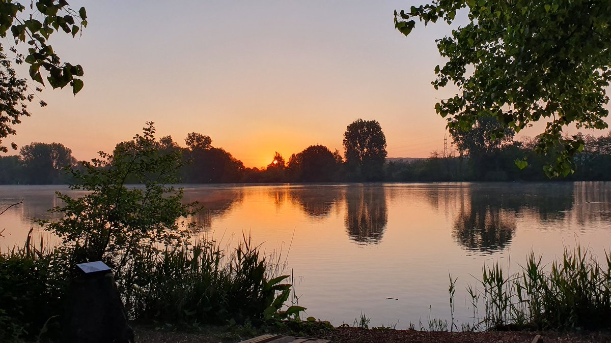 Jan Denys tweet media