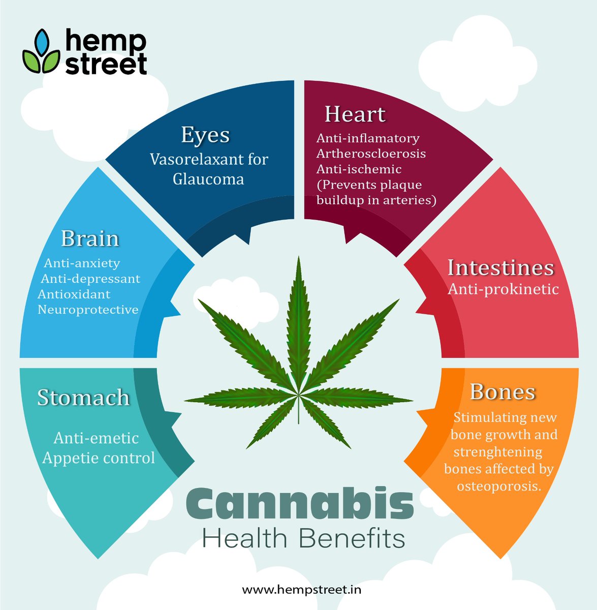 HempStreetIndia's tweet photo. Cannabis Health Benefits.
#Energizing #hypertension #Stomachcancer #inflamatory #Bones #intestines #antiemetic #cannabis #india #medicine #ayurveda #medicalcannabis #ayurvedicmedicine #anxiety #sexualhealth #stamina #libido #muscle #Lowmuscle #cancer #ibs #guthealth #spasms https://t.co/8iSmYlHoHT