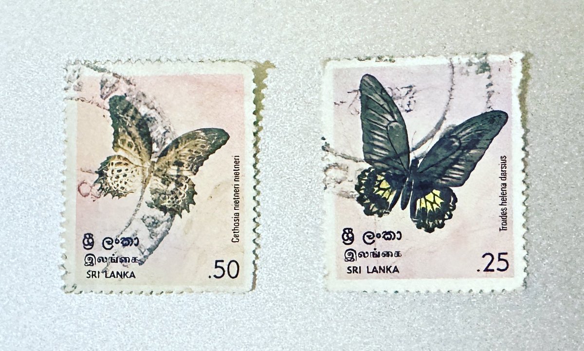 Old (1978) Tamil Lacewing and Sri Lankan Birdwing stamps. They are worth storing 🤗 #philately #hobby #collectingstamps #stamps