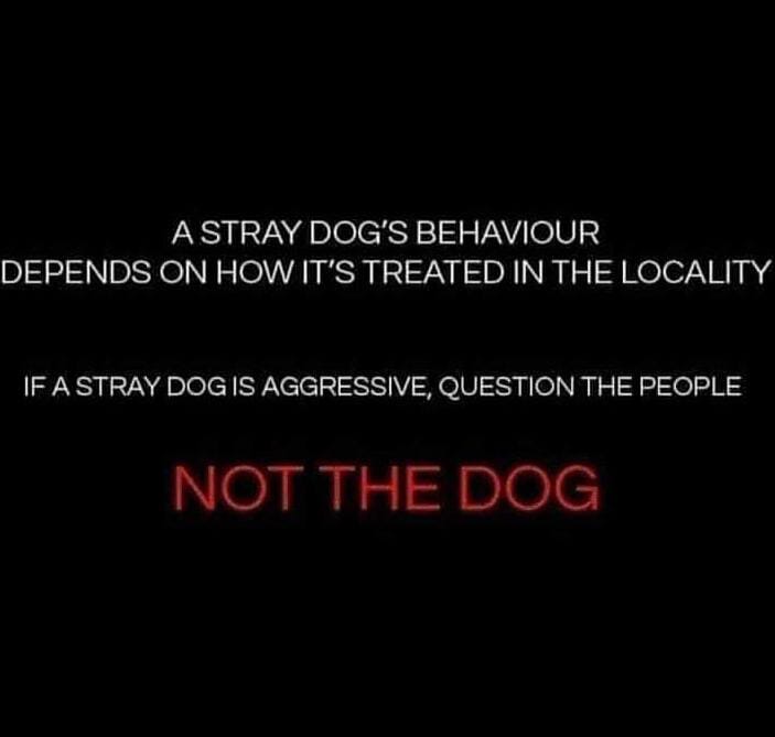 AntiCrueltyCell's tweet photo. #NotTheDog https://t.co/Vir5qml4qa