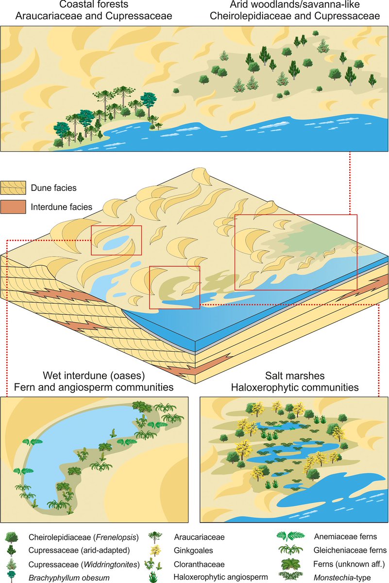 Tom Parker tweet media