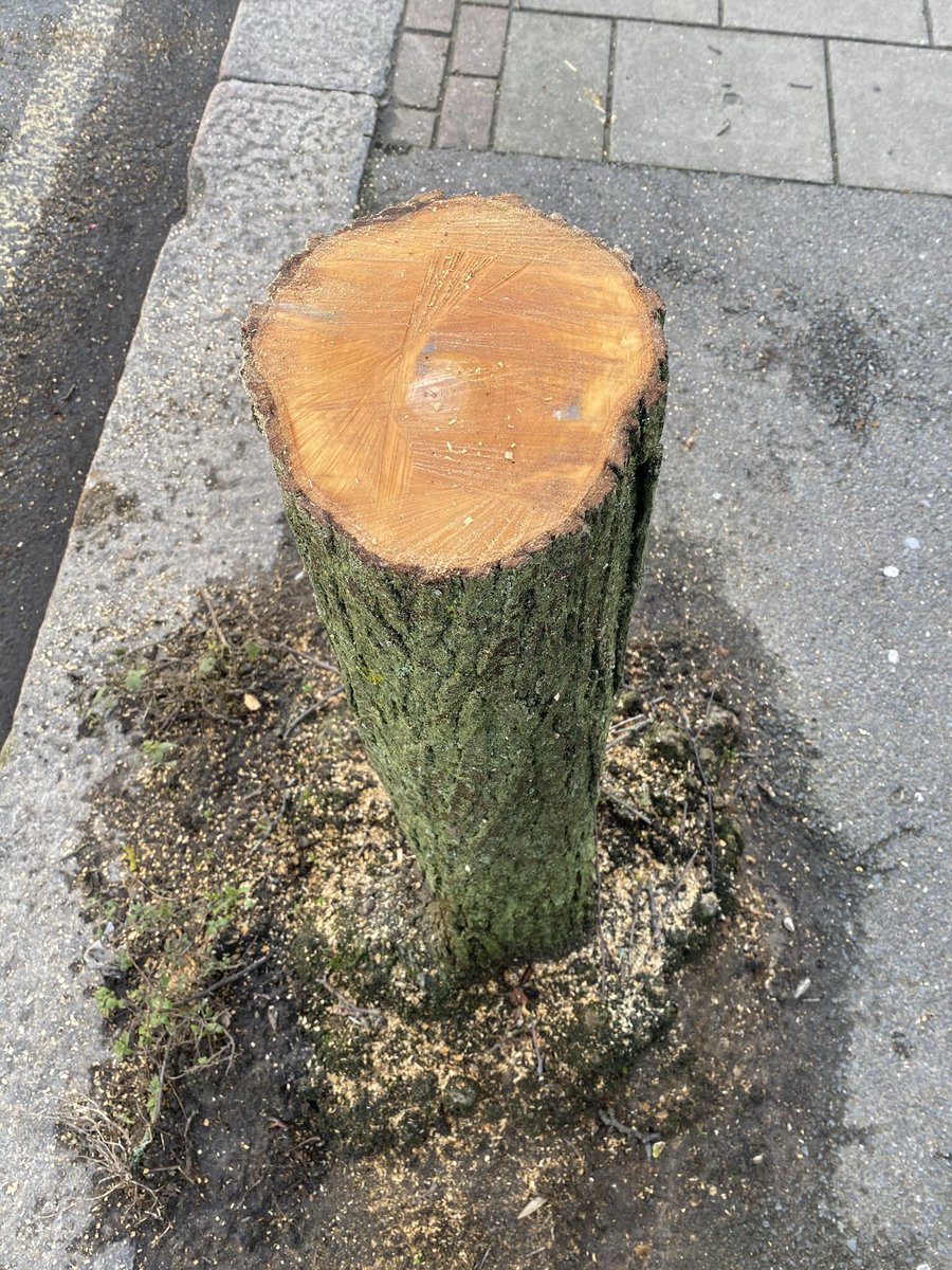 TiCL (NO to a blue tick) tweet media