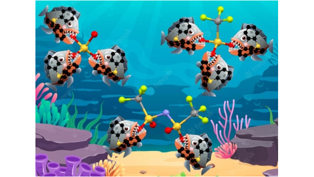 Chemistry (@chemeurj) on Twitter photo From Proton to Boron: The Lewis Analogs of Protonated Bronsted Super Acids (Chardon et al.) <a href="/AurelienChard/">Chardon Aurélien</a>, <a href="/ArnaudOsi/">Osi Arnaud</a>, <a href="/Dr_Berionni/">G. Berionni Group University of Namur</a>, <a href="/ntumanov_Xray/">Nikolay Tumanov</a>, <a href="/lfusaro_NMR/">Luca Fusaro</a> onlinelibrary.wiley.com/doi/10.1002/ch… From Proton to Boron: The Lewis Analogs of Protonated Bronsted Super Acids (Chardon et al.) <a href="/AurelienChard/">Chardon Aurélien</a>, <a href="/ArnaudOsi/">Osi Arnaud</a>, <a href="/Dr_Berionni/">G. Berionni Group University of Namur</a>, <a href="/ntumanov_Xray/">Nikolay Tumanov</a>, <a href="/lfusaro_NMR/">Luca Fusaro</a> onlinelibrary.wiley.com/doi/10.1002/ch…