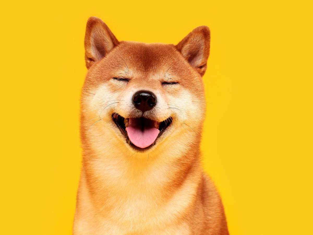 You missed out on $PEPE, don't miss $SHIA. 

Where meme meets utility. 

Drop your wallet for a chance to win an airdrop 👇