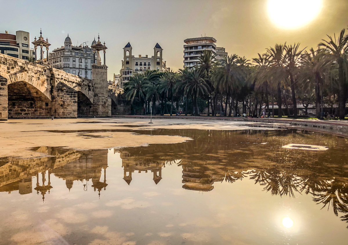 EVirusBioinfC's tweet image. Apart from enjoying the insights into #virusbioinformatics at #ViBioM2023 we found some time to check out beautiful #Valencia