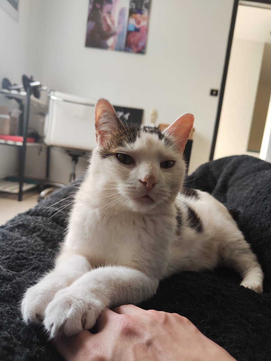 ARROG4NCE tweet media