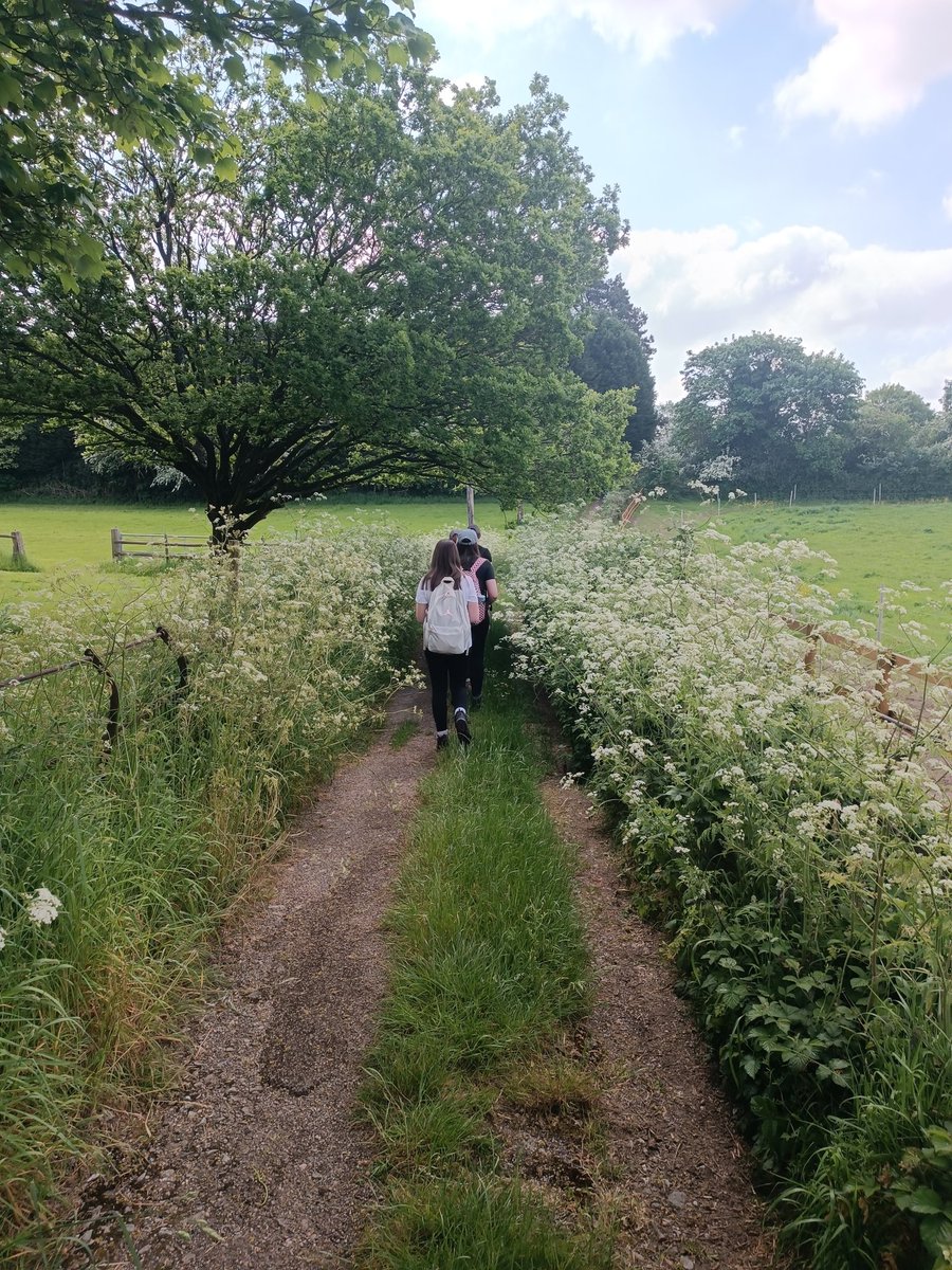 kngsdofe's tweet photo. Glorious day so far. @KNGSlife students blessed with beautiful weather today! https://t.co/2Yi0cUgO28