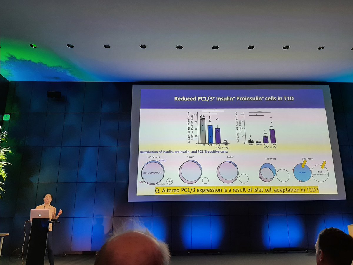Why beta cell dysfunction and prohormone processing  failure may induce autoimmunity? How can we study it? Great work and outstanding future plans and fresh ideas from @YCC_YiChunChen at the #ids2023.