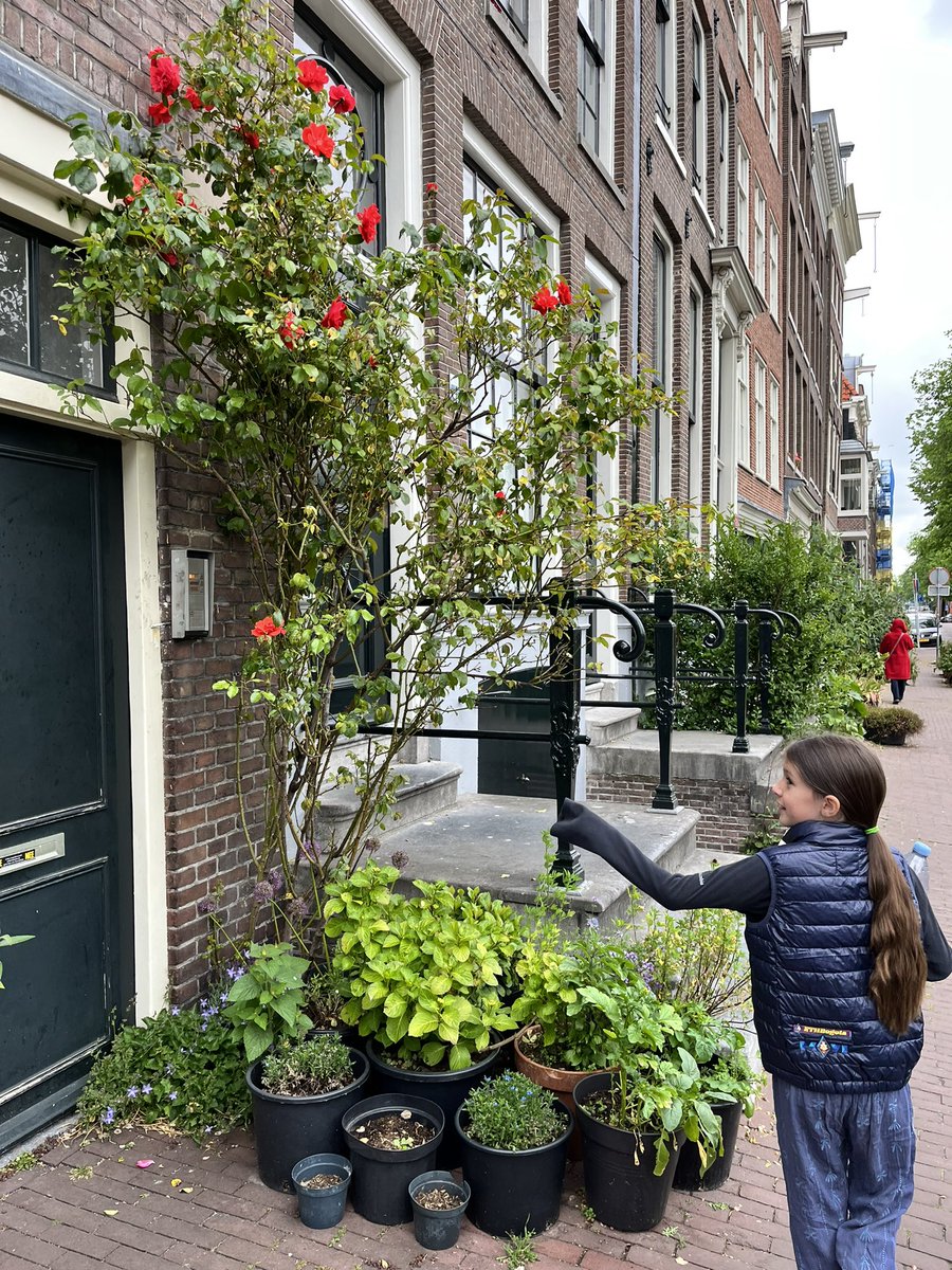 Britt 📍Network School tweet media