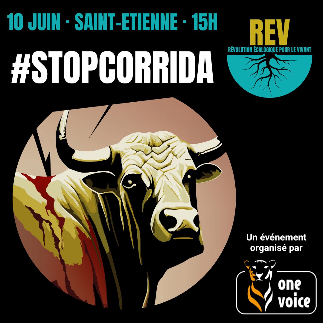 ✊🏻 Notre combat pour dire #StopCorrida continue. 

Nous serons au soutien de @onevoiceanimal dans la région le 10 juin à #Lyon et #SaintEtienne. 

Ensemble, abolissons la #corrida !