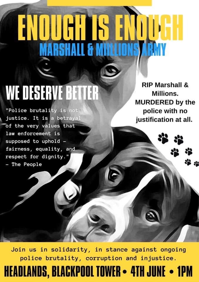 #Blackpool on 4th June at 1pm. One of dozens of peaceful vigils happening nationwide for #justiceformarshallandmillions 2 dogs brutally and disproportionately killed by @metpolice. We are expecting quite a crowd!