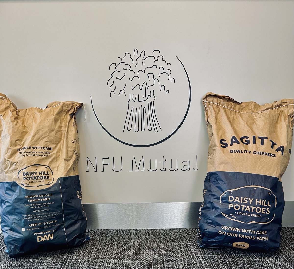 nfum_beverley's tweet photo. We would like to thank Thomas Williams at @Daisyhillpotatoes for his donation of potatoes on the back of our Coronation Bake-Off which raised £95.44 for @RealAid, also be sure to check out the #PotatoShack at Daisy Hill Farms. https://t.co/xaFNHlPEPi