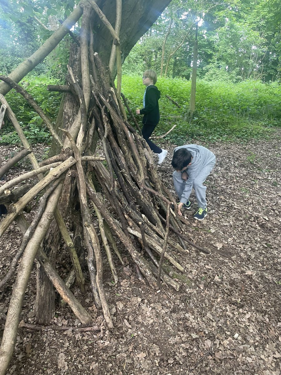 Operation ‘build a den big enough for the whole class!’ #forestfun #teamworkmakesthedreamwork #Perseverance