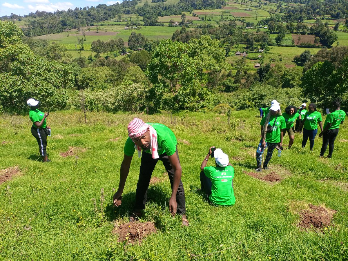 Here at Youths For Green Action Kenya We do it with fun 
#Narok100000trees
#jazamiti
#15biliontrees