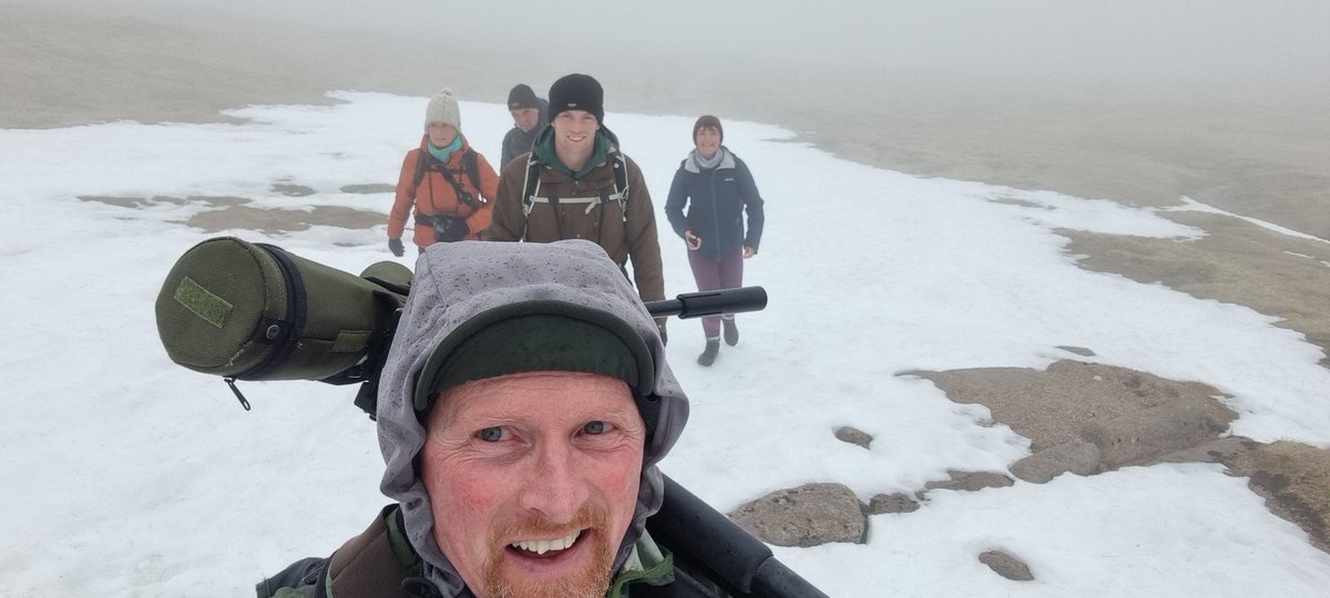 Arc Guiding tweet media