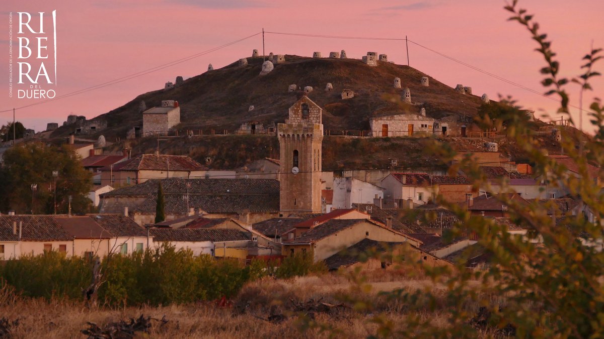 This little village nestled in the heart of the Ribera del Duero region is steeped in viticultural history🍷 Dating back to the 13th century, the first wine cellars were excavated inside local inhabitants’ homes – the start of a tradition that spans generations.
 
#RiberaDelDuero