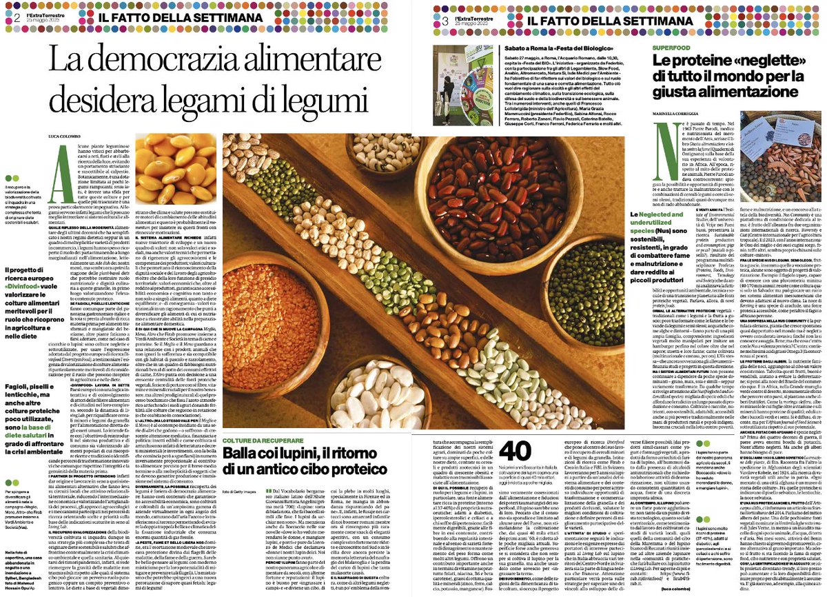 Oggi con <a href="/ilmanifesto/">il manifesto</a> due pagine dedicate ai #legumi come veicolo di democrazia alimentare (e compatibilità climatica, e chiave nutrizionale, e...) a supporto della campagna #MeglioMenoAltro della <a href="/FondazioneFirab/">Firab</a>. E zoom sui #lupini <a href="/DIVINFOOD/">DIVINFOOD</a>
