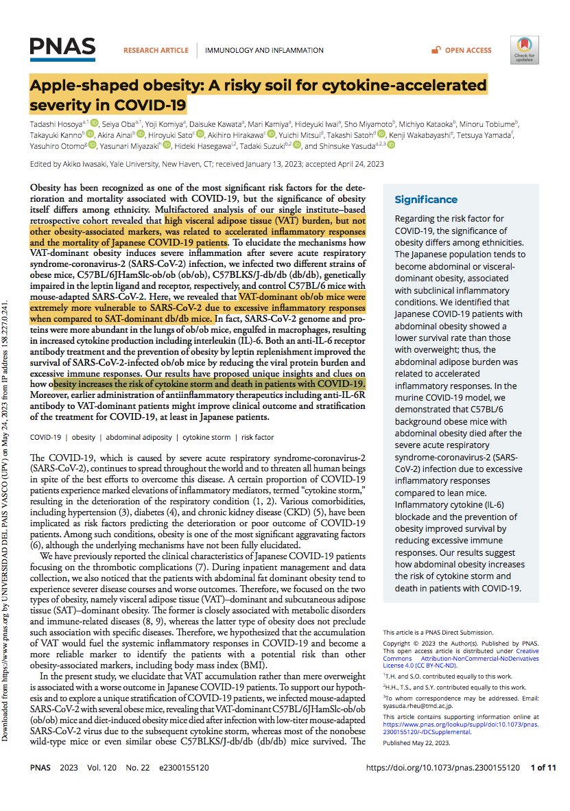 Gorka Orive tweet media