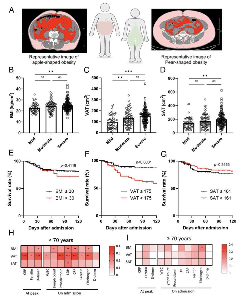 Gorka Orive tweet media