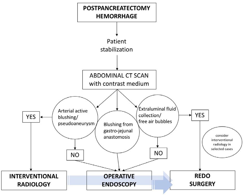 Post-Pancreatectomy Hemorrhage: Is Endoscopy Really Useful? 
by Lorenzo Dioscoridi, MD, PhD[ISSN 2471-142X]

📖Read the full article here: bit.ly/3IJcOHd

✍Submit your manuscript: bit.ly/45kjeX6 

#openventio #pancrase #OpenAccess #openjournal